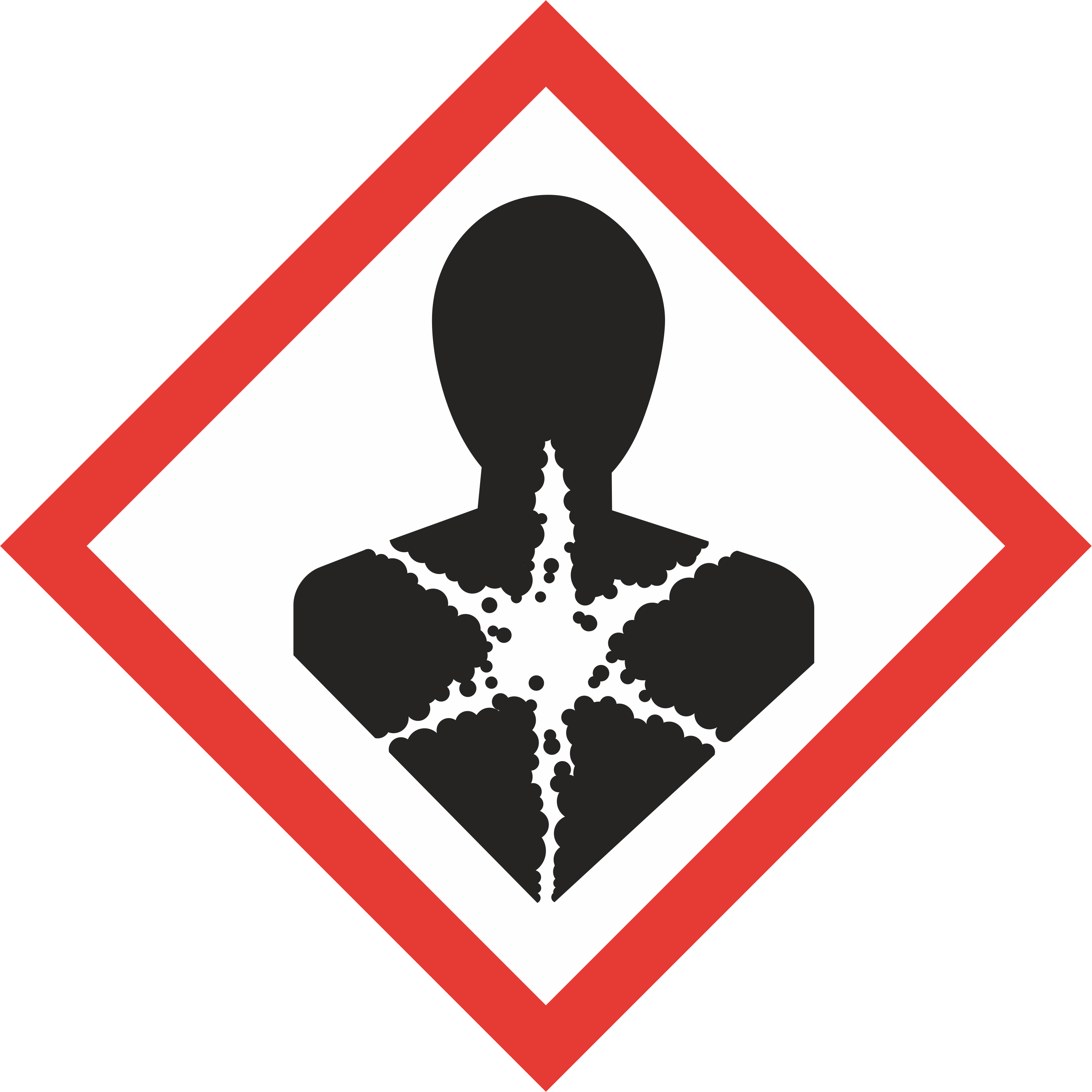 Hazard Pictogram