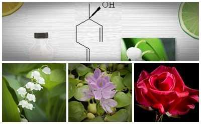 Dimethyl Phenylethyl Carbinol